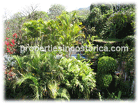 House for Sale in escazu